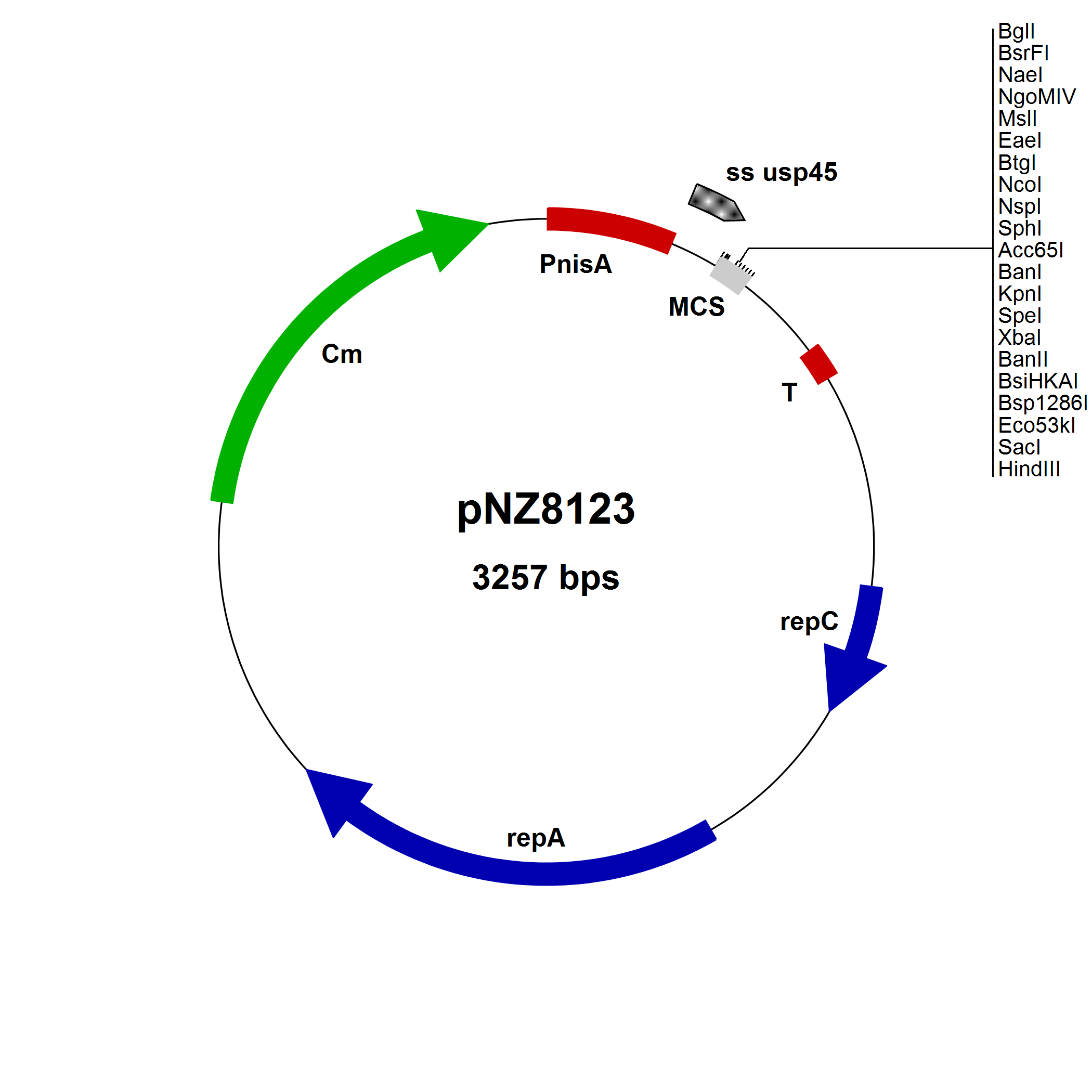 NICE® pNZ8123 Lactococcus lactis secretion vector, Nae site, 10 µg